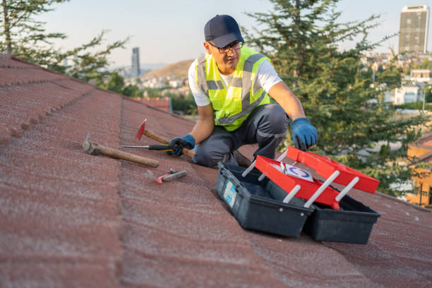 Best Storm Damage Siding Repair  in Fox Lake, IL